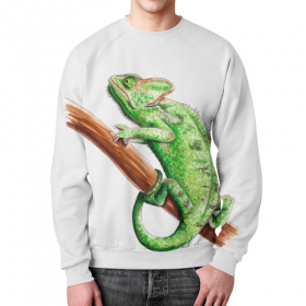 full_print_sweatshirt с принтом Зеленый хамелеон на ветке в Курске,  |  | 