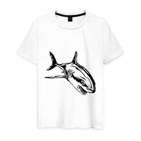 Мужская футболка хлопок с принтом Акула в Курске, 100% хлопок | прямой крой, круглый вырез горловины, длина до линии бедер, слегка спущенное плечо. | shark | акула | животные | рыба | хищник