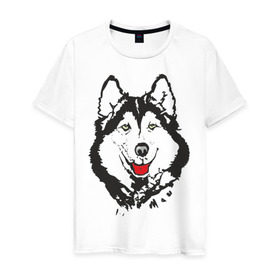 Мужская футболка хлопок с принтом Хаски в Курске, 100% хлопок | прямой крой, круглый вырез горловины, длина до линии бедер, слегка спущенное плечо. | dog | husky | животные | пес | песики | собака | хаски | хаски бандит