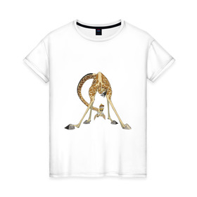 Женская футболка хлопок с принтом Мадагаскар (3) в Курске, 100% хлопок | прямой крой, круглый вырез горловины, длина до линии бедер, слегка спущенное плечо | madagascar | жираф | мадагаскар