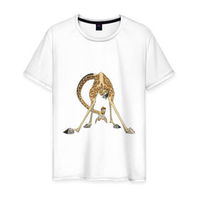 Мужская футболка хлопок с принтом Мадагаскар (3) в Курске, 100% хлопок | прямой крой, круглый вырез горловины, длина до линии бедер, слегка спущенное плечо. | Тематика изображения на принте: madagascar | жираф | мадагаскар