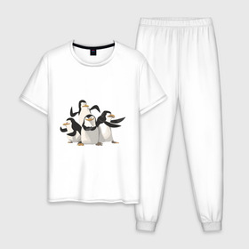 Мужская пижама хлопок с принтом Мадагаскар (8) в Курске, 100% хлопок | брюки и футболка прямого кроя, без карманов, на брюках мягкая резинка на поясе и по низу штанин
 | Тематика изображения на принте: madagascar | мадагаскар | пингвины