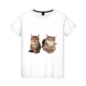 Женская футболка хлопок с принтом Кошка и котёнок в Курске, 100% хлопок | прямой крой, круглый вырез горловины, длина до линии бедер, слегка спущенное плечо | 
