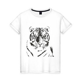 Женская футболка хлопок с принтом Tiger (3) в Курске, 100% хлопок | прямой крой, круглый вырез горловины, длина до линии бедер, слегка спущенное плечо | tiger | животные | тигр | хищник