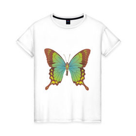 Женская футболка хлопок с принтом Красивая Бабочка в Курске, 100% хлопок | прямой крой, круглый вырез горловины, длина до линии бедер, слегка спущенное плечо | крылатые | насекомые