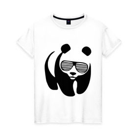 Женская футболка хлопок с принтом Панда в очках жалюзи в Курске, 100% хлопок | прямой крой, круглый вырез горловины, длина до линии бедер, слегка спущенное плечо | панда