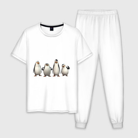 Мужская пижама хлопок с принтом Пингвины Мадагаскар в Курске, 100% хлопок | брюки и футболка прямого кроя, без карманов, на брюках мягкая резинка на поясе и по низу штанин
 | пингвин