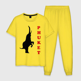 Мужская пижама хлопок с принтом Phuket (5) в Курске, 100% хлопок | брюки и футболка прямого кроя, без карманов, на брюках мягкая резинка на поясе и по низу штанин
 | 