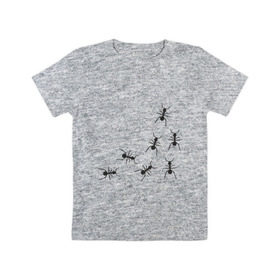 Детская футболка хлопок с принтом муравьи в Курске, 100% хлопок | круглый вырез горловины, полуприлегающий силуэт, длина до линии бедер | Тематика изображения на принте: животные | звери | насекомые