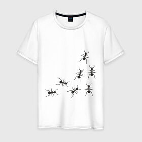 Мужская футболка хлопок с принтом муравьи в Курске, 100% хлопок | прямой крой, круглый вырез горловины, длина до линии бедер, слегка спущенное плечо. | животные | звери | насекомые
