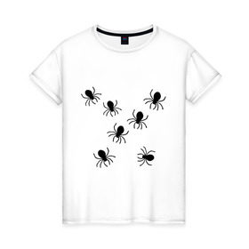 Женская футболка хлопок с принтом пауки в Курске, 100% хлопок | прямой крой, круглый вырез горловины, длина до линии бедер, слегка спущенное плечо | животные | насекомые | паучки