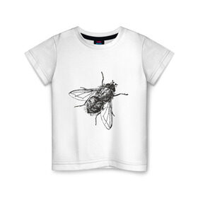 Детская футболка хлопок с принтом Назойливая муха в Курске, 100% хлопок | круглый вырез горловины, полуприлегающий силуэт, длина до линии бедер | животные | муха | назойливая | назойливая муха | прикольные картинки