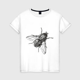 Женская футболка хлопок с принтом Назойливая муха в Курске, 100% хлопок | прямой крой, круглый вырез горловины, длина до линии бедер, слегка спущенное плечо | животные | муха | назойливая | назойливая муха | прикольные картинки