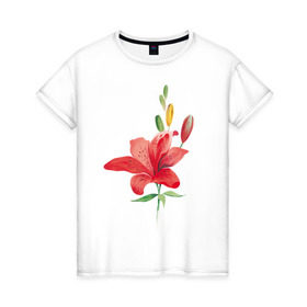 Женская футболка хлопок с принтом Red lily в Курске, 100% хлопок | прямой крой, круглый вырез горловины, длина до линии бедер, слегка спущенное плечо | 8 марта | букет | красная лилия | лилия | международный женский день | цветы