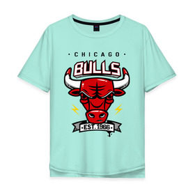 Мужская футболка хлопок Oversize с принтом Chicago bulls swag в Курске, 100% хлопок | свободный крой, круглый ворот, “спинка” длиннее передней части | булс | чикаго