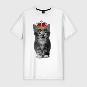 Мужская футболка премиум с принтом Meow kitten в Курске, 92% хлопок, 8% лайкра | приталенный силуэт, круглый вырез ворота, длина до линии бедра, короткий рукав | kitten | meow | meow kitten | киса | кот | котик | котэ | котяра | кошка | прикольный кот