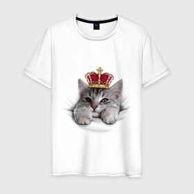 Мужская футболка хлопок с принтом Pretty kitten в Курске, 100% хлопок | прямой крой, круглый вырез горловины, длина до линии бедер, слегка спущенное плечо. | kitten | meow | meow kitten | киса | корона | корона на голове кота | кот | кот с короной | котик | котэ | котяра | кошка | прикольный кот