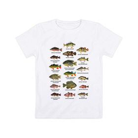 Детская футболка хлопок с принтом Окуни. в Курске, 100% хлопок | круглый вырез горловины, полуприлегающий силуэт, длина до линии бедер | для рыбака | окуни | окунь | подарок рыбаку | рыбаку | рыбалка
