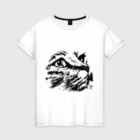 Женская футболка хлопок с принтом Образ кошки в Курске, 100% хлопок | прямой крой, круглый вырез горловины, длина до линии бедер, слегка спущенное плечо | киса | котенок | кошка