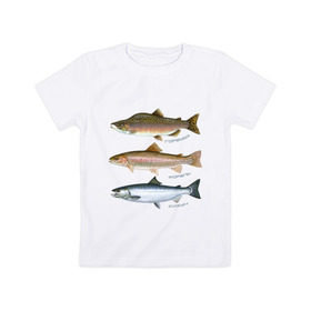 Детская футболка хлопок с принтом Лососевые в Курске, 100% хлопок | круглый вырез горловины, полуприлегающий силуэт, длина до линии бедер | горбуша | кижуч | рыба | рыбалка | рыбачить | туризм | туристические | туристу | улов | форель