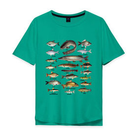 Мужская футболка хлопок Oversize с принтом Популярные виды рыб в Курске, 100% хлопок | свободный крой, круглый ворот, “спинка” длиннее передней части | Тематика изображения на принте: рыба | рыбалка | рыбачить | туризм | туристические | туристу | улов