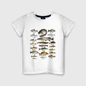 Детская футболка хлопок с принтом Популярные виды рыб в Курске, 100% хлопок | круглый вырез горловины, полуприлегающий силуэт, длина до линии бедер | Тематика изображения на принте: рыба | рыбалка | рыбачить | туризм | туристические | туристу | улов