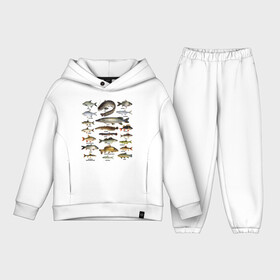 Детский костюм хлопок Oversize с принтом Популярные виды рыб в Курске,  |  | рыба | рыбалка | рыбачить | туризм | туристические | туристу | улов