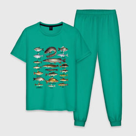 Мужская пижама хлопок с принтом Популярные виды рыб в Курске, 100% хлопок | брюки и футболка прямого кроя, без карманов, на брюках мягкая резинка на поясе и по низу штанин
 | рыба | рыбалка | рыбачить | туризм | туристические | туристу | улов