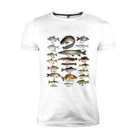 Мужская футболка премиум с принтом Популярные виды рыб в Курске, 92% хлопок, 8% лайкра | приталенный силуэт, круглый вырез ворота, длина до линии бедра, короткий рукав | рыба | рыбалка | рыбачить | туризм | туристические | туристу | улов