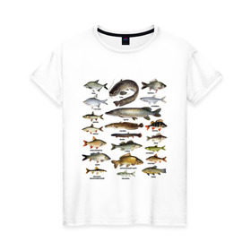 Женская футболка хлопок с принтом Популярные виды рыб в Курске, 100% хлопок | прямой крой, круглый вырез горловины, длина до линии бедер, слегка спущенное плечо | рыба | рыбалка | рыбачить | туризм | туристические | туристу | улов