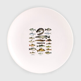 Тарелка 3D с принтом Популярные виды рыб в Курске, фарфор | диаметр - 210 мм
диаметр для нанесения принта - 120 мм | рыба | рыбалка | рыбачить | туризм | туристические | туристу | улов