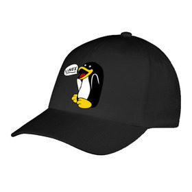 Бейсболка с принтом Пингвин: Linux в Курске, 100% хлопок | классический козырек, металлическая застежка-регулятор размера | Тематика изображения на принте: пингвин