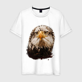 Мужская футболка хлопок с принтом Орел в Курске, 100% хлопок | прямой крой, круглый вырез горловины, длина до линии бедер, слегка спущенное плечо. | голова | голова орла | кавказ | кавказец | орёл | птица | птичка