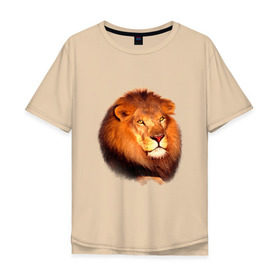 Мужская футболка хлопок Oversize с принтом Лев в Курске, 100% хлопок | свободный крой, круглый ворот, “спинка” длиннее передней части | animals | lion | mountain | животные | лев | прикольные картинки