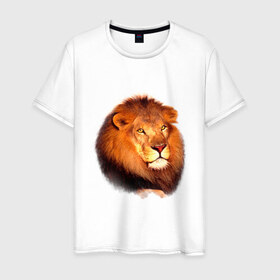 Мужская футболка хлопок с принтом Лев в Курске, 100% хлопок | прямой крой, круглый вырез горловины, длина до линии бедер, слегка спущенное плечо. | animals | lion | mountain | животные | лев | прикольные картинки
