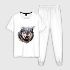 Мужская пижама хлопок с принтом Волк в Курске, 100% хлопок | брюки и футболка прямого кроя, без карманов, на брюках мягкая резинка на поясе и по низу штанин
 | animals | mountain | wolf | волк | животные | прикольные картинки