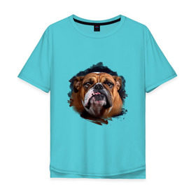 Мужская футболка хлопок Oversize с принтом Бульдог в Курске, 100% хлопок | свободный крой, круглый ворот, “спинка” длиннее передней части | animals | dog | mountain | бульдог | животные | прикольные картинки | собака