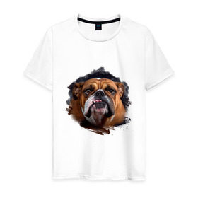 Мужская футболка хлопок с принтом Бульдог в Курске, 100% хлопок | прямой крой, круглый вырез горловины, длина до линии бедер, слегка спущенное плечо. | Тематика изображения на принте: animals | dog | mountain | бульдог | животные | прикольные картинки | собака