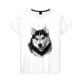 Женская футболка хлопок с принтом Хаски в Курске, 100% хлопок | прямой крой, круглый вырез горловины, длина до линии бедер, слегка спущенное плечо | animals | dog | mountain | животные | прикольные картинки | собака | хаски