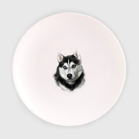 Тарелка 3D с принтом Хаски в Курске, фарфор | диаметр - 210 мм
диаметр для нанесения принта - 120 мм | Тематика изображения на принте: animals | dog | mountain | животные | прикольные картинки | собака | хаски