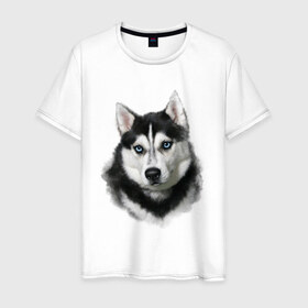 Мужская футболка хлопок с принтом Хаски в Курске, 100% хлопок | прямой крой, круглый вырез горловины, длина до линии бедер, слегка спущенное плечо. | Тематика изображения на принте: animals | dog | mountain | животные | прикольные картинки | собака | хаски