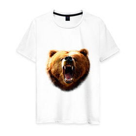 Мужская футболка хлопок с принтом Медведь в Курске, 100% хлопок | прямой крой, круглый вырез горловины, длина до линии бедер, слегка спущенное плечо. | Тематика изображения на принте: animals | bear | mountain | животные | медведь | прикольные картинки