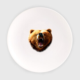 Тарелка с принтом Медведь в Курске, фарфор | диаметр - 210 мм
диаметр для нанесения принта - 120 мм | animals | bear | mountain | животные | медведь | прикольные картинки
