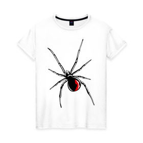 Женская футболка хлопок с принтом Черная вдова в Курске, 100% хлопок | прямой крой, круглый вырез горловины, длина до линии бедер, слегка спущенное плечо | паук | тарантул | черная вдова | черная вдованасекомые