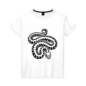 Женская футболка хлопок с принтом Силуэт змеи в Курске, 100% хлопок | прямой крой, круглый вырез горловины, длина до линии бедер, слегка спущенное плечо | животные | змеиная кожа | змея | прикольные картинки | силуэт змеи