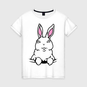 Женская футболка хлопок с принтом Зайчик в кармашке в Курске, 100% хлопок | прямой крой, круглый вырез горловины, длина до линии бедер, слегка спущенное плечо | белый кролик | животные | зайка | зайчик в кармашке | кролик