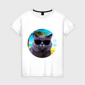 Женская футболка хлопок с принтом Котэ на пляже в Курске, 100% хлопок | прямой крой, круглый вырез горловины, длина до линии бедер, слегка спущенное плечо | кот | котэ | лето | мем | очки | пальма | пляж | солнце