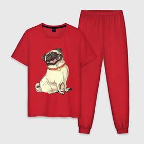 Мужская пижама хлопок с принтом Радостный мопс в Курске, 100% хлопок | брюки и футболка прямого кроя, без карманов, на брюках мягкая резинка на поясе и по низу штанин
 | милый | мопс | пес | радостная | собака