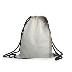 Рюкзак-мешок 3D с принтом Хаскогвин в Курске, 100% полиэстер | плотность ткани — 200 г/м2, размер — 35 х 45 см; лямки — толстые шнурки, застежка на шнуровке, без карманов и подкладки | Тематика изображения на принте: пингвин