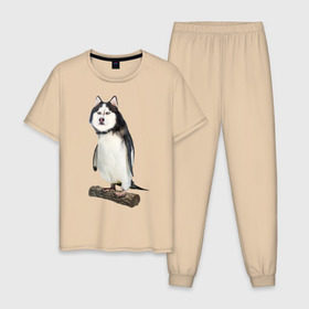 Мужская пижама хлопок с принтом Хаскогвин в Курске, 100% хлопок | брюки и футболка прямого кроя, без карманов, на брюках мягкая резинка на поясе и по низу штанин
 | Тематика изображения на принте: пингвин